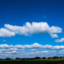 How People Predict the Future: Amos Tversky