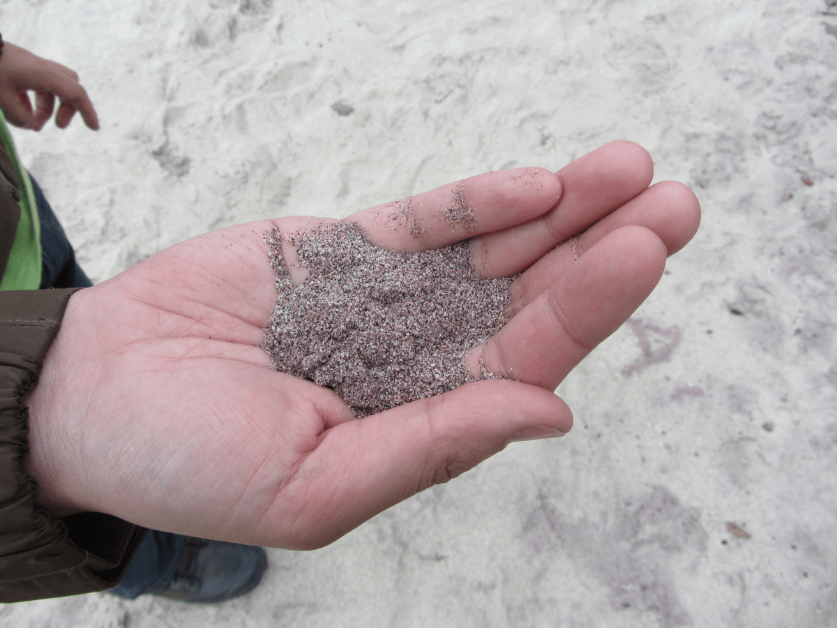 Holding Sand